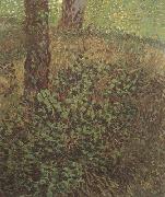 Vincent Van Gogh Undergrowth (nn04) oil painting reproduction